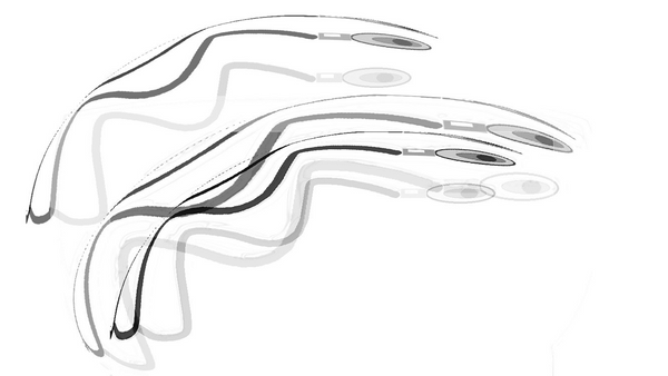 Session 163: Between Chance and Choice: The Art of Fertilization