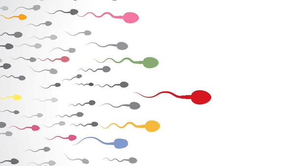 Session 125: Fertilization- What Matters?