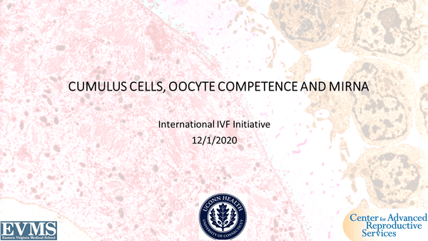 Cumulus Evaluation, Oocyte Competence and MiRNA