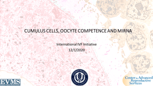 Cumulus Evaluation, Oocyte Competence and MiRNA