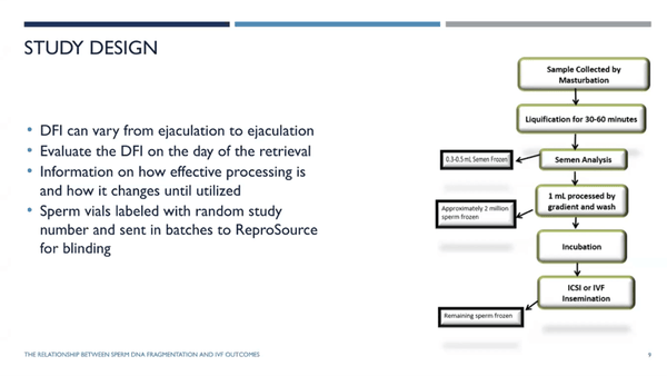 Sperm DNA Fragmentation and it’s Impact on IVF Outcomes