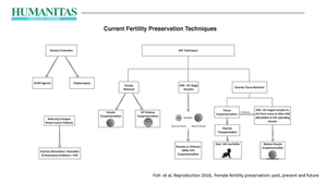 Fertility Preservation: Present and Possible Futures
