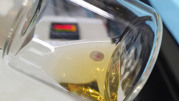 Session 63: Ex utero