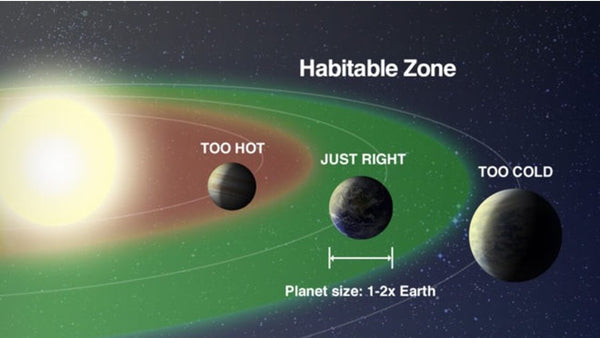 The Embryo in Culture- Metabolism