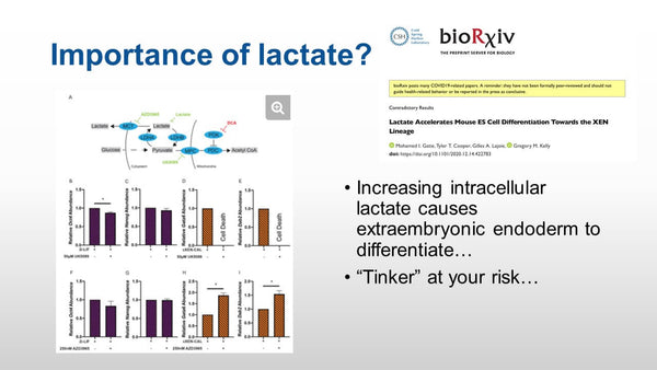 The Embryo in Culture- Metabolism