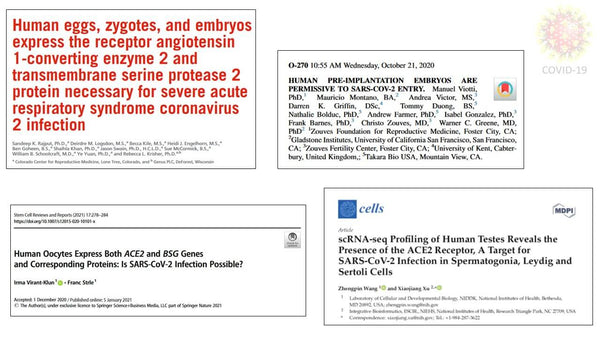 SARS-CoV-2 in the Clinic
