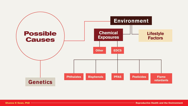 Threatened Reproduction: Causes, Consequences and Solutions