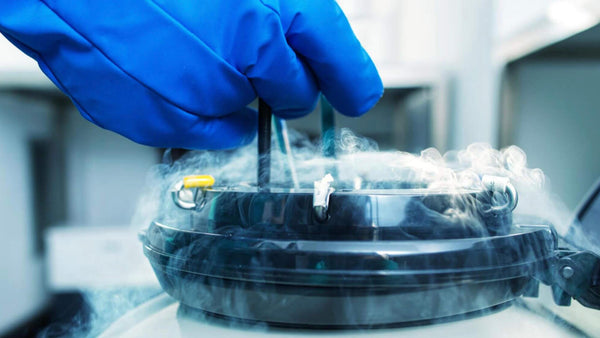 Session 29: Cryopreservation/Vitrification in Human Assisted Reproduction: Experts’ Review