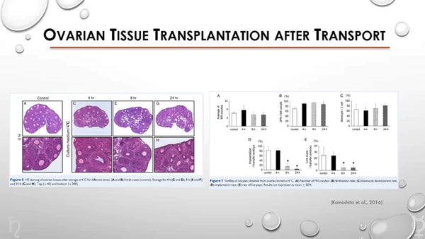 The importance of ovarian tissue transportation for fertility outcomes