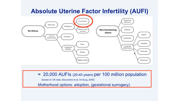 Uterus transplantation: research and clinical aspects today and in the future