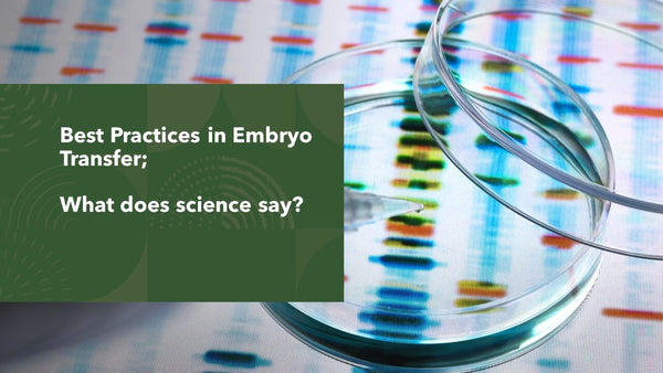 How to Make your Patient's Day; Getting the Embryo Transfer Just Right