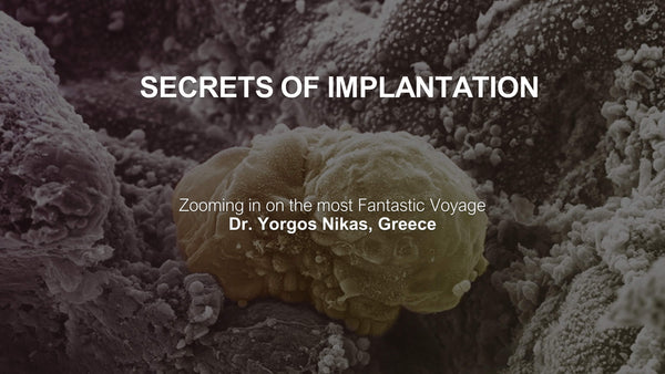 Zooming in on the most Fantastic Voyage