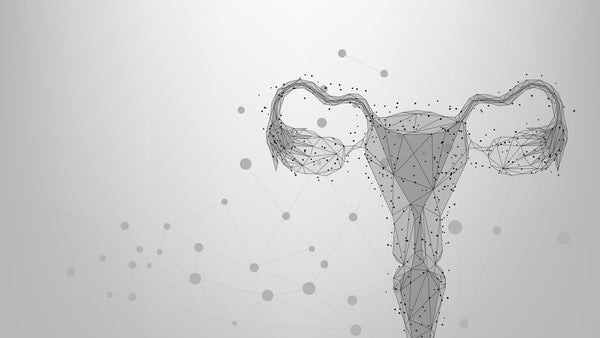 Session 110 : EXPLORING STRATEGIES TO IMPROVE FEMALE FERTILITY