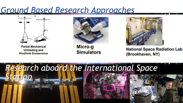 Reproduction in Space: In Vivo and Cross-Generational Effects of Microgravity and Space Radiation