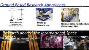 Reproduction in Space: In Vivo and Cross-Generational Effects of Microgravity and Space Radiation