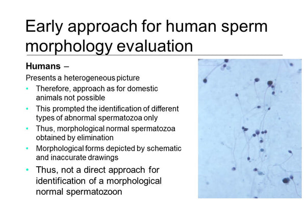 Origins, Evolution, and Clinical Significance of the Tygerberg Strict Criteria