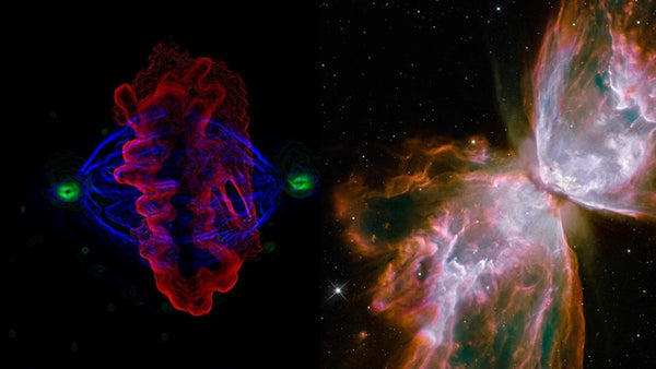 Session 51: Reproductive BioMedicine in Space II