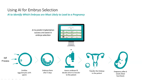 AI Technology to Improve Embryo Selection using Still Images