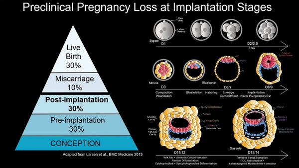 Symmetry Breaking in the Human Embryo