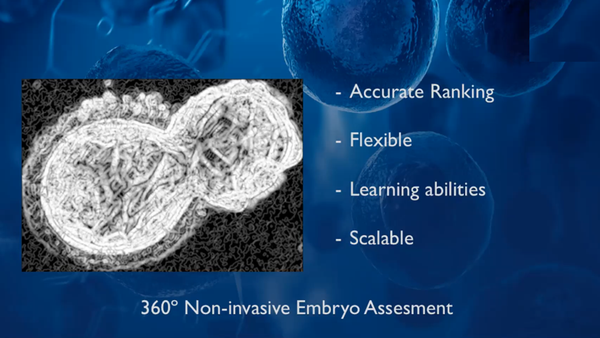 AI and Embryo Selection