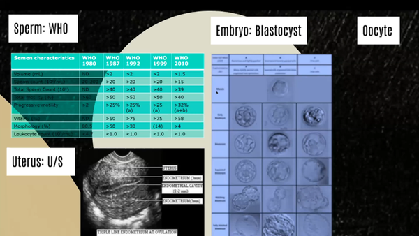 Using Artificial Intelligence to Assess Egg Quality