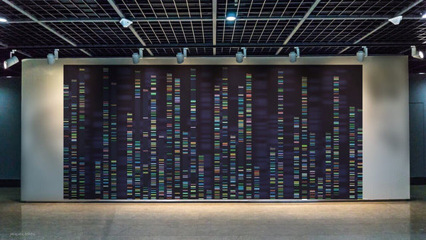 Reproductive Choice for mtDNA Disease
