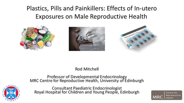 Plastics, Pills and Painkillers: Effects of In-utero Exposures on Male Reproductive Health