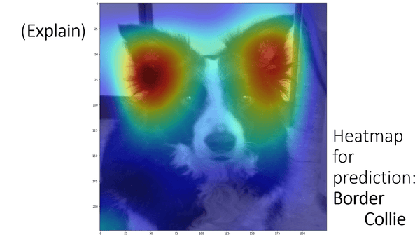 Computer Shows Why: Visualizing Machine Learning and Decision