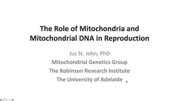 The Role of Mitochondria and Mitochondrial DNA in Reproduction