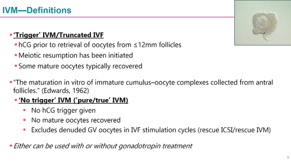 Clinical IVM – The Time has Come