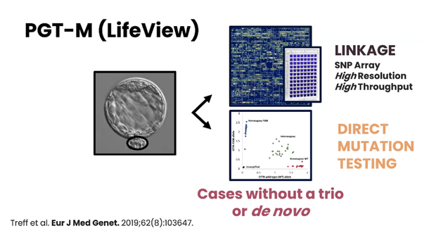 Practical Application of Polygenic Risk Scoring in the Human Embryo