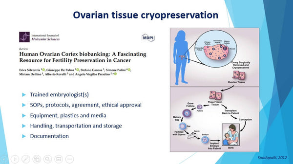 Fertility Preservation: the Embryologist’s Point of View