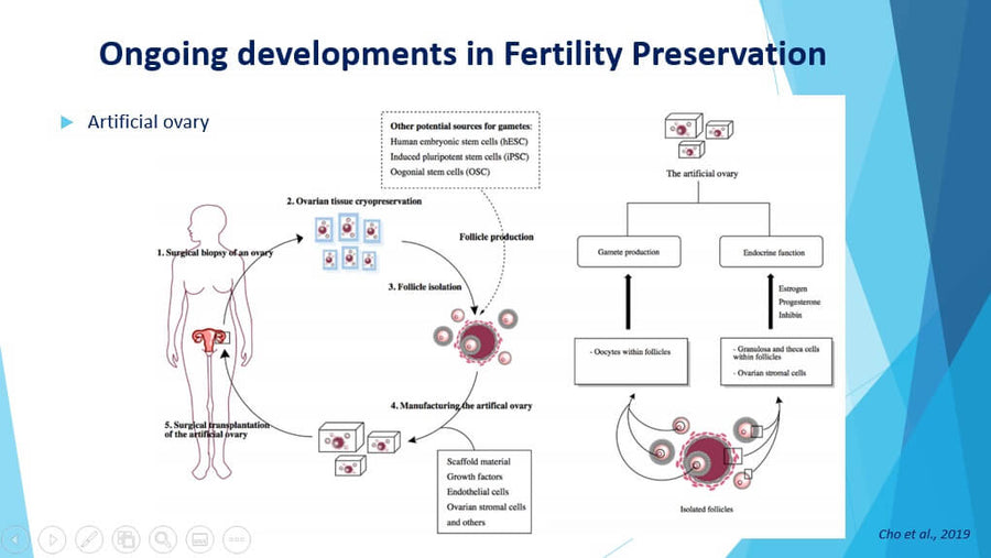 Fertility Preservation: the Embryologist’s Point of View
