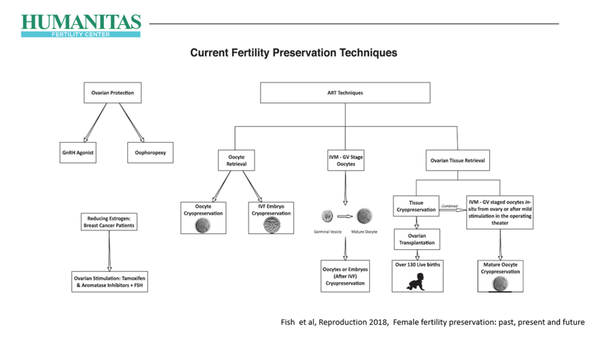 Fertility Preservation: Present and Possible Futures