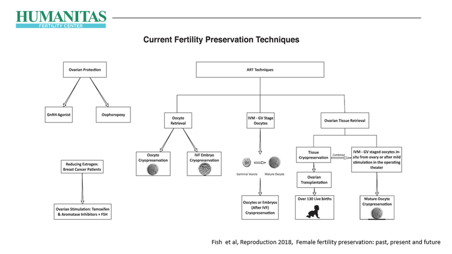 Fertility Preservation: Present and Possible Futures