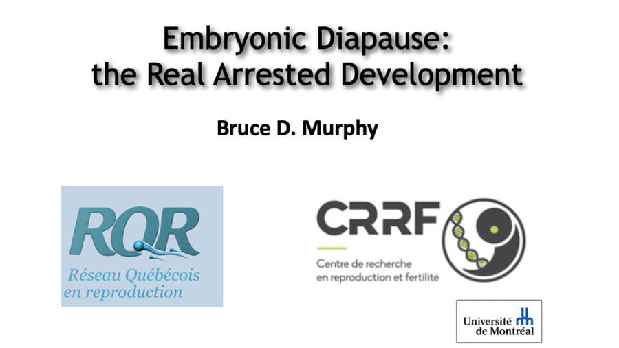 Embryonic Diapause: the Real Arrested Development.