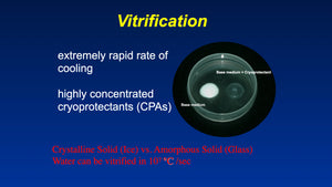 Principles of Cryopreservation and Optimization of Vitrification