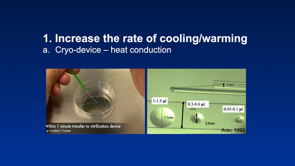 Principles of Cryopreservation and Optimization of Vitrification