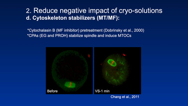 Principles of Cryopreservation and Optimization of Vitrification