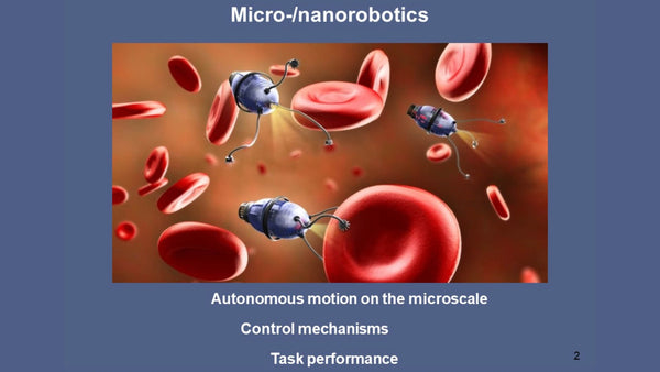 Sperm-Driven and Sperm-Templated Microrobots