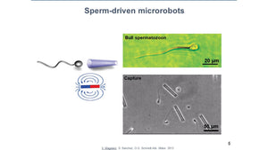 Sperm-Driven and Sperm-Templated Microrobots