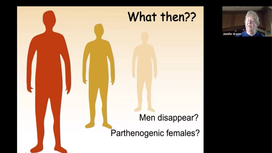 The Human Y Chromosome and the Future of Men