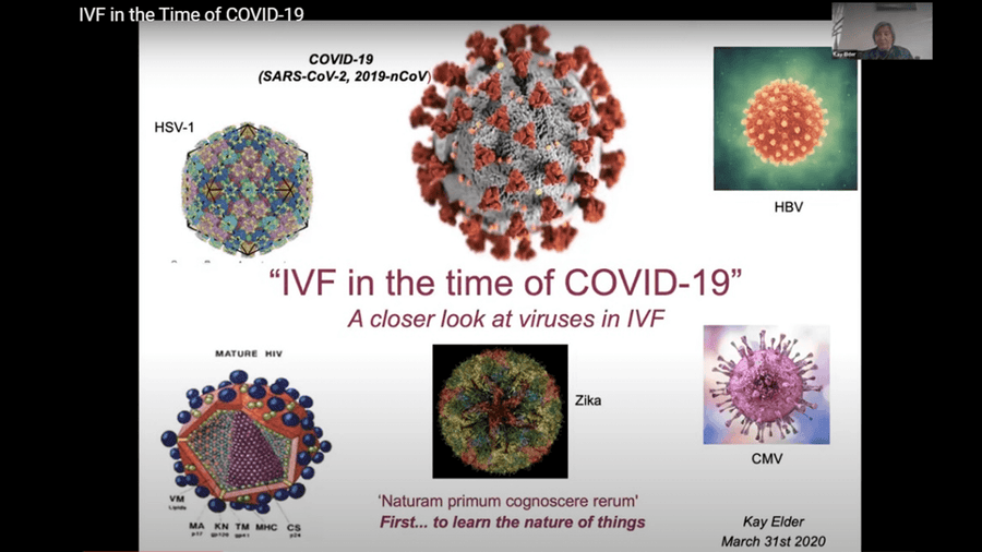 A Close Look at Viruses and Their Relevance to ART