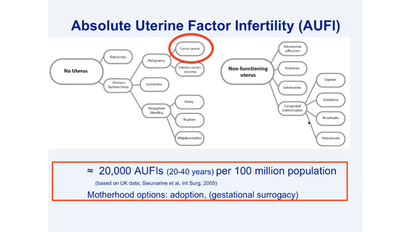 Uterus transplantation: research and clinical aspects today and in the future