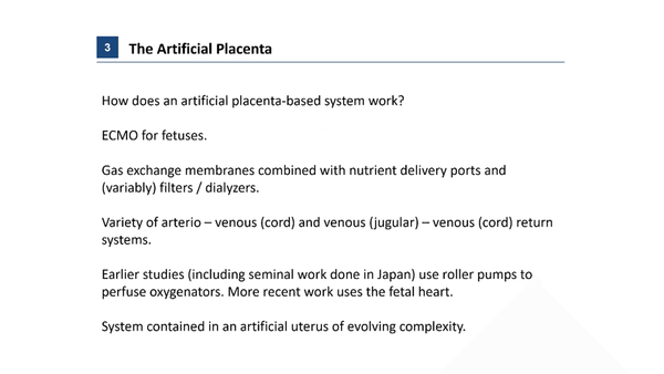 Great expectations: Development of an Artificial Placenta for Extremely Preterm Infants