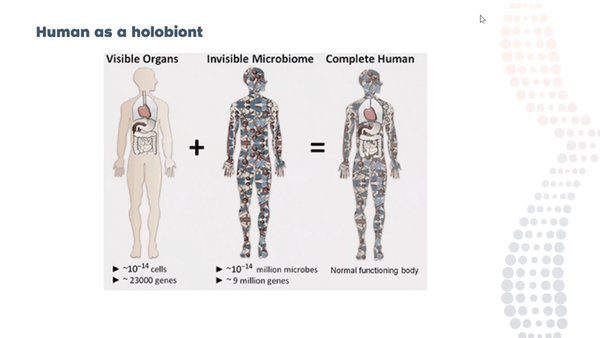 The Relevance of Uterine Microbiome in IVF Treatment