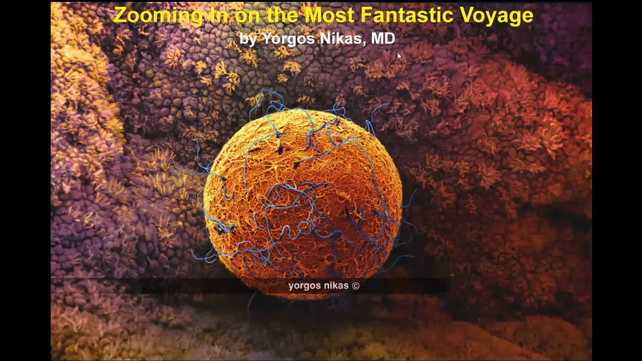 Zooming in on the most Fantastic Voyage