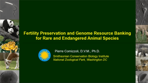 Fertility Preservation and Genome Resource Banking for Rare and Endangered Animal Species