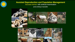 Fertility Preservation and Genome Resource Banking for Rare and Endangered Animal Species