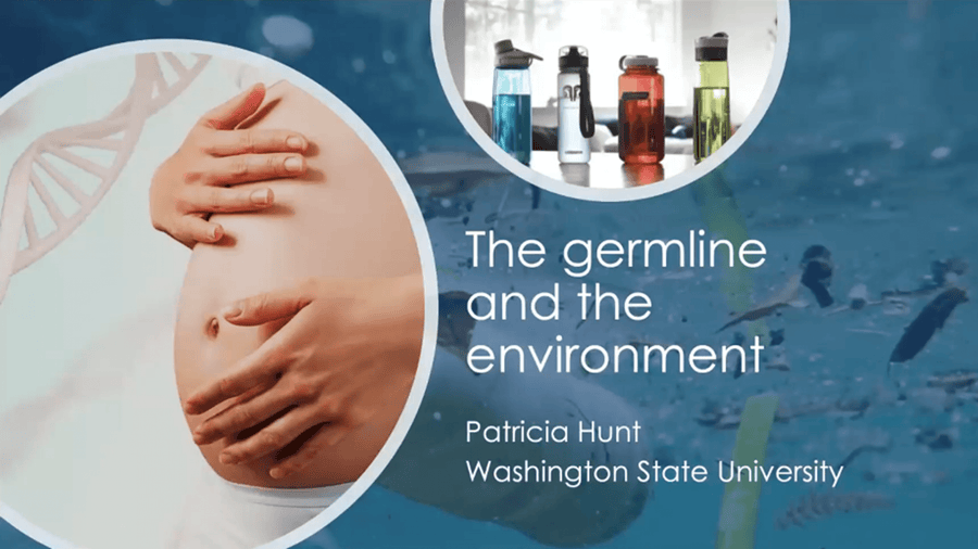 The Germline and the Environment